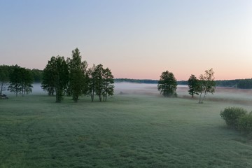 Fototapeta premium Landscape in the Bialowieza National Park in Poland at the early morning