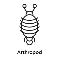 Arthropod icon vector sign and symbol isolated on white background