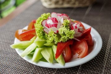 Vegetables on white plate: cucumber, tomato, pepper and radish
