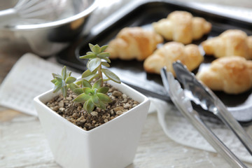 焼きたてクロワッサン 