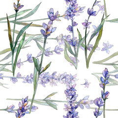 Violet lavender. Seamless background pattern. Fabric wallpaper print texture. Aquarelle wildflower for background, texture, wrapper pattern, frame or border.