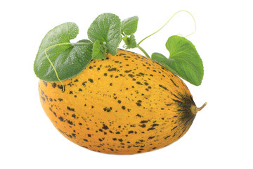melon with leaves isolated on white background