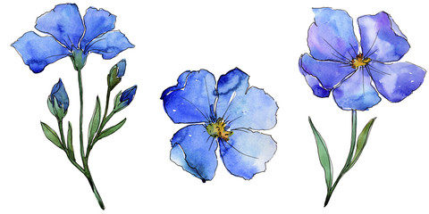 Blue flax. Floral botanical flower. Wild spring leaf wildflower isolated. Aquarelle wildflower for background, texture, wrapper pattern, frame or border.