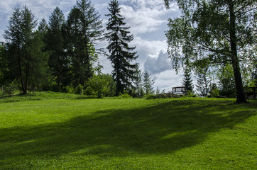 łąka  © wedrownik52