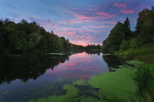 Moscow Region, Russia. Amazing sunset in the beautiful place on the river Ucha. The green duckweed washed ashore. Bushes and trees. Pink clouds on the blue sky. Marfino Estate