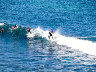 Surfer riding the waves in Bells Beach