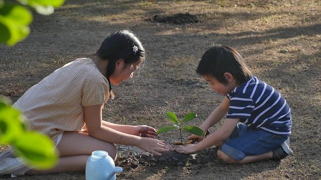 Asian sibling watering young tree on summer day slow motion 4