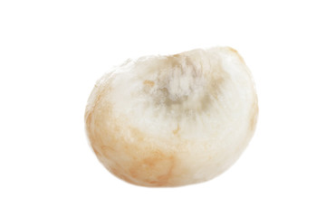 slice of mangosteen isolated onw hite background