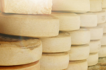 Cheese concept background. Cheese store.