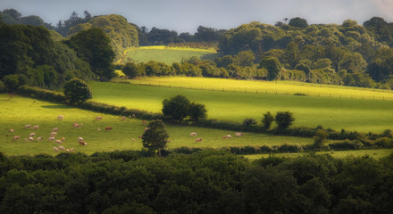 Irish Landscapes