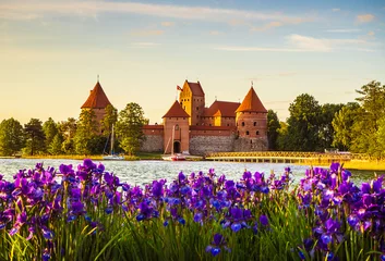 Photo sur Plexiglas Château Château de l& 39 île de Trakai - une destination touristique populaire en Lituanie