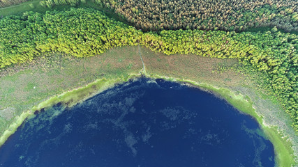Aerial view from drone- lake in the forest