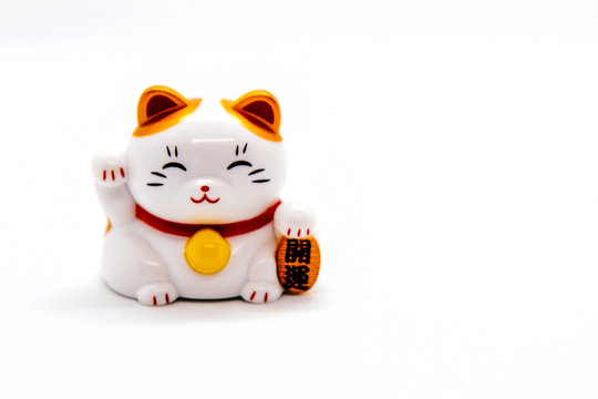 japanese lucky cat doll with white background