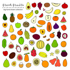 Big set of hand drawn fruits.