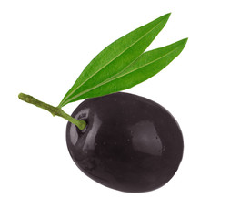 black olive with leaves isolated