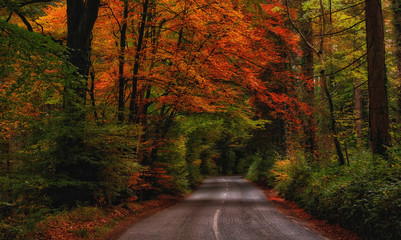 Irish Landscapes