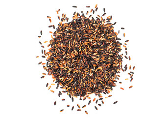 Black wild rice