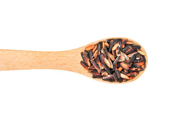 Black rice in a spoon