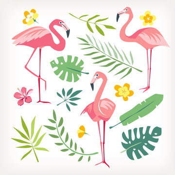Flamingo bird tropicl leaves vector isolated collection white background