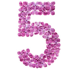 Arabic numeral 5, five, from flowers of lilac, isolated on white background
