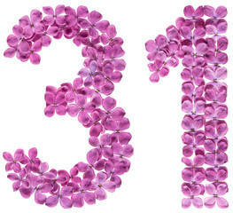 Arabic numeral 31, thirty one, from flowers of lilac, isolated on white background