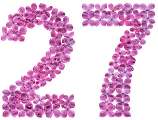 Arabic numeral 27, twenty seven, from flowers of lilac, isolated on white background