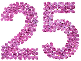Arabic numeral 25, twenty five, from flowers of lilac, isolated on white background