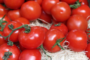 Box of large tomatoes