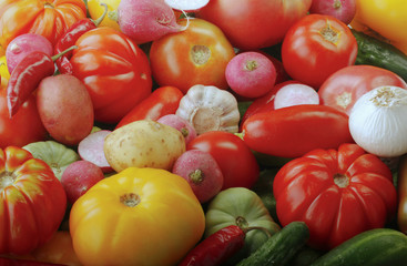 vegetables background. top view