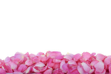 Obraz premium petals of rose background with copy space