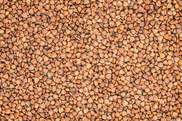 Buckwheat texture