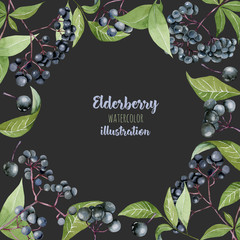 Card template with watercolor elderberry branches, frame border background, hand painted on a dark background