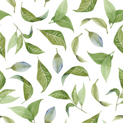 Seamless floral pattern with watercolor green leaves, hand drawn isolated on a white background