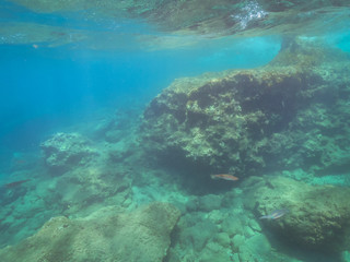 Unterrwasserwelten