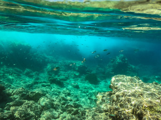 Fototapeta na wymiar Unterrwasserwelten