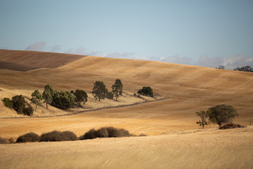 View over dry farm paddocks