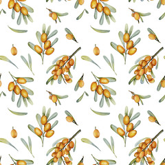 Watercolor sea buckthorn berries seamless pattern, hand painted on a white background