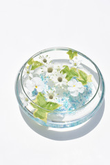 フォローティングフラワー 白  アイビー  ガラス 器  きれい  (12‐1)