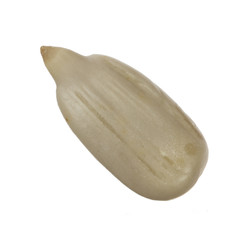 peeled seeds of sunflower isolated on white background