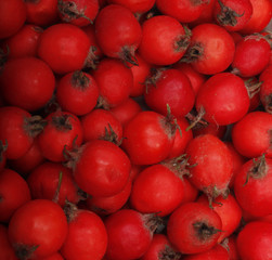 fresh red haw berries background