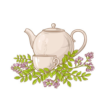 astragalus tea in teapot