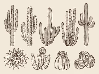 Foto op Canvas Sketch hand drawn illustrations of cactuses and various wild plants © ONYXprj