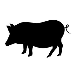 Pig silhouette. Realistic hand drawn vector illustration isolated on white background.