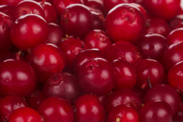 fresh red cowberries background