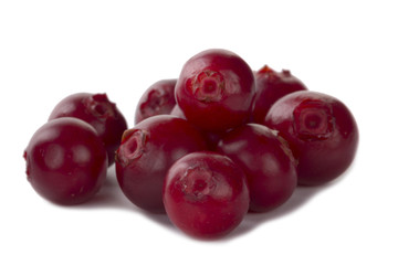 heap of cowberry isolated on white background