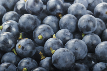 fresh blue grape background