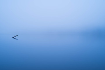 Stick coming out of foggy water
