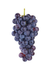 bunch of blue grapes isolated on white background