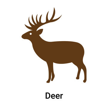 Deer icon vector sign and symbol isolated on white background