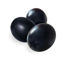 Realistic olive fruits. Isolated on a white background. 3d illustration